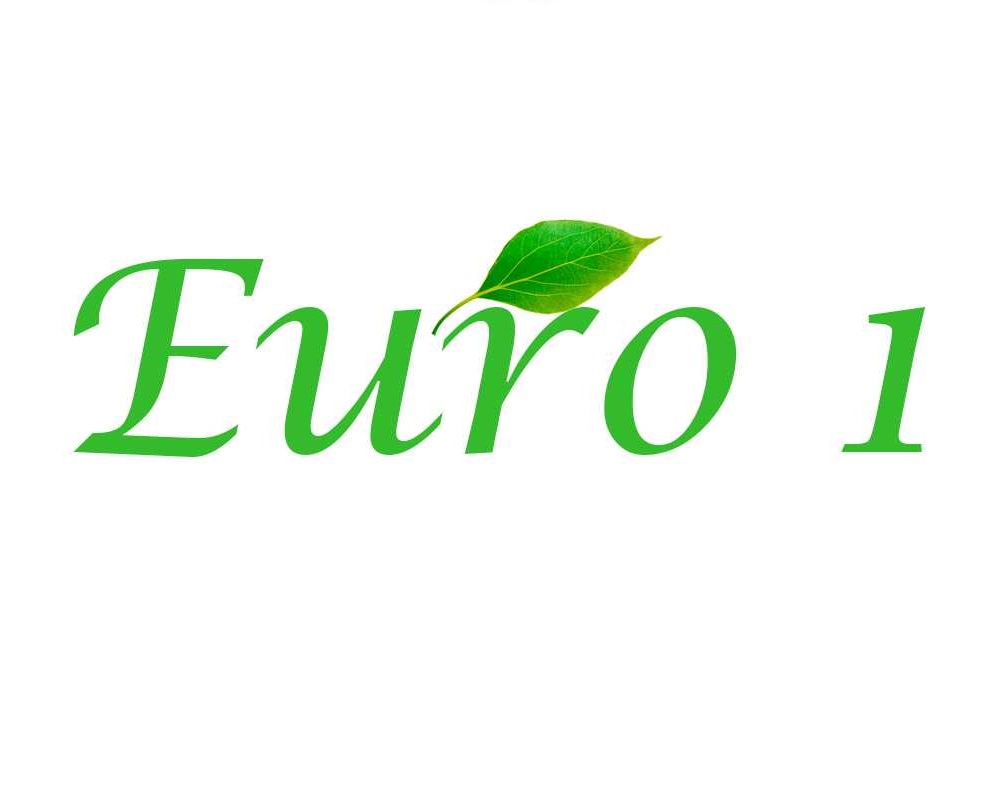 Экологический класс евро 1 стандарт таблица
